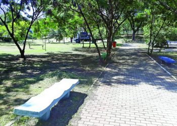 Espera pela construção de banheiros e sede, no Parque Municipal do Tatuapé, continua