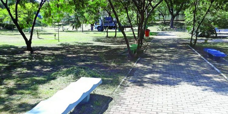Espera pela construção de banheiros e sede, no Parque Municipal do Tatuapé, continua