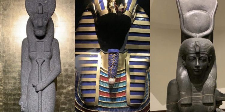 Museus mantêm exposições on-line para o público