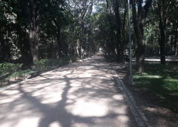 Mesmo durante a quarentena as obras em parques do Tatuapé ficaram paradas