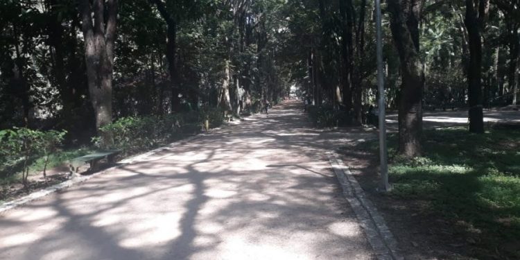 Mesmo durante a quarentena as obras em parques do Tatuapé ficaram paradas