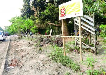 Obras junto à Rua Nelson Cruz, no Belém, promovem o verde e a ginástica