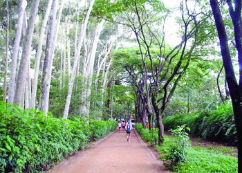 Parque Municipal do Tatuapé está fechado e o do Piqueri, aberto, não tem espaço pet