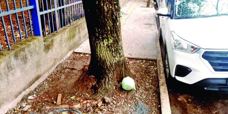 Requalificação de calçadas do Tatuapé deixou problemas para trás