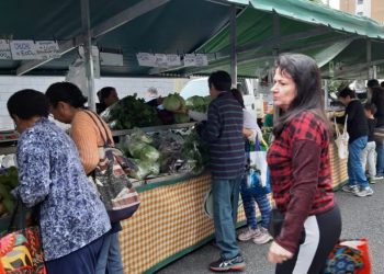 Feiras de orgânicos no Anália e na Mooca são opção aos que buscam alimentos saudáveis