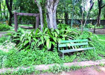 Parque do Piqueri, no Tatuapé, está abandonado, denuncia frequentadora
