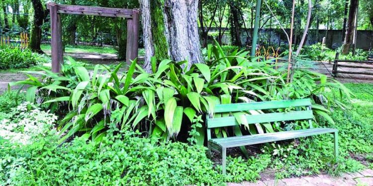 Parque do Piqueri, no Tatuapé, está abandonado, denuncia frequentadora