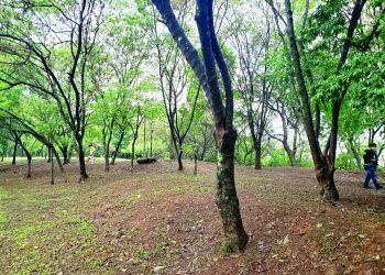 Metrô cerca toda a área verde, no Jardim Têxtil, proibindo caminhadas e passeios