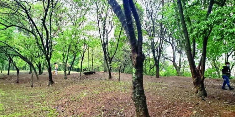 Metrô cerca toda a área verde, no Jardim Têxtil, proibindo caminhadas e passeios