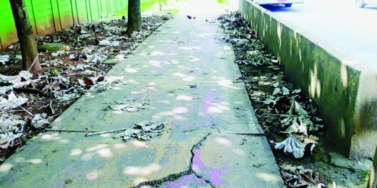 Ciclovia da Radial Leste é destruída antes de reforma