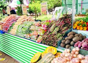 Encontro de produtores está aberto no Largo São José do Maranhão