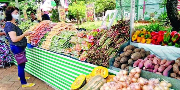 Encontro de produtores está aberto no Largo São José do Maranhão