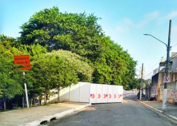 Preocupação com a derrubada de árvores no Jd. Têxtil continua