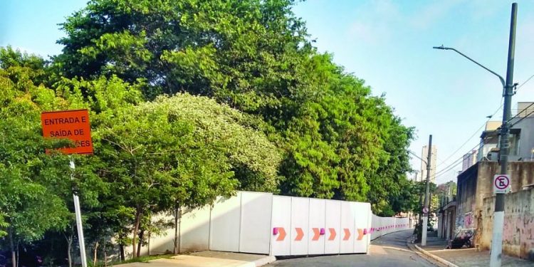 Preocupação com a derrubada de árvores no Jd. Têxtil continua