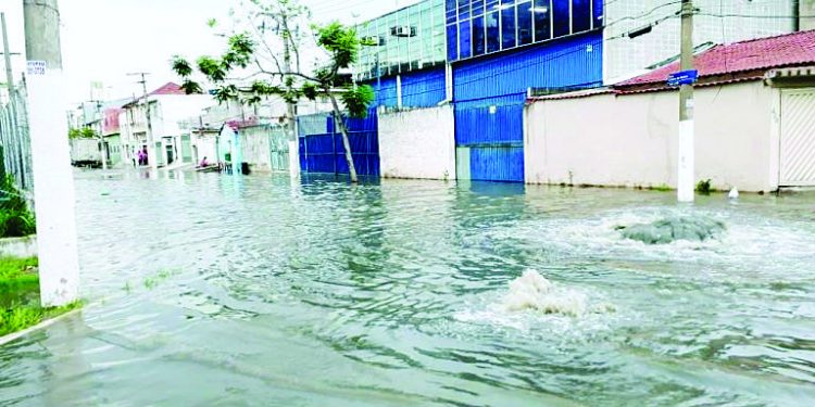 Prefeitura afirma que realiza limpeza nas galerias do Tatuapé