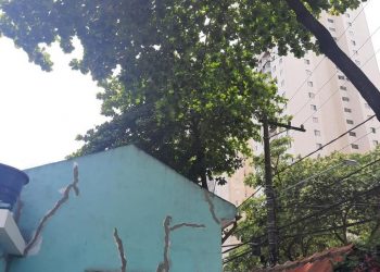 Enel diz que subprefeitura precisa fazer a parte dela em poda na Rua Itapura