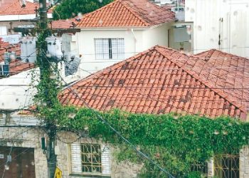 Trepadeira enrolada em fios, na Rua Bom Sucesso, tira o sono de empresário