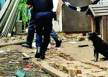 Famílias da Comunidade Esmaga Sapo aguardam direcionamento da Prefeitura