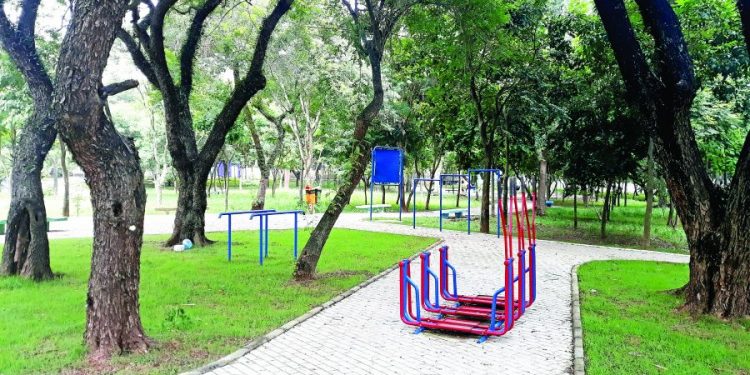 Parque Municipal do Tatuapé terá campo de futebol e pista de skate