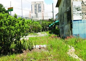 Horta urbana localizada no Belém servirá como polo de educação