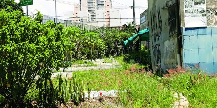 Horta urbana localizada no Belém servirá como polo de educação
