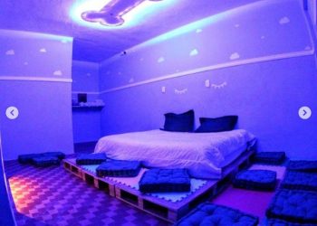 Guest Dog se consolida no atendimento aos pets no Tatuapé