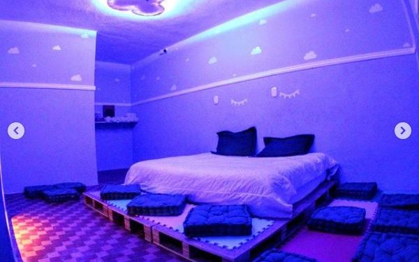 Guest Dog se consolida no atendimento aos pets no Tatuapé