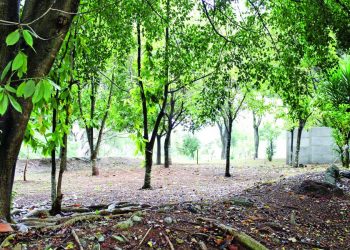 Moradores resistem e pedem ao Metrô a reabertura de áreas verdes no Jardim Têxtil