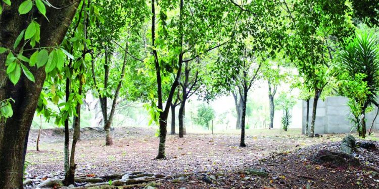 Moradores resistem e pedem ao Metrô a reabertura de áreas verdes no Jardim Têxtil