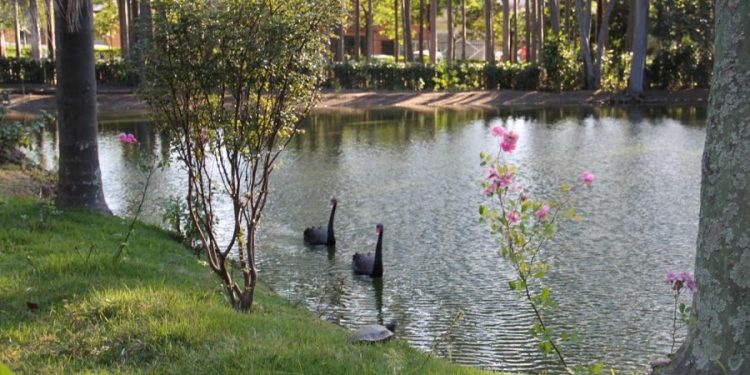 Eleição do Conselho de Meio Ambiente das Subs Mooca e Aricanduva está com inscrições abertas