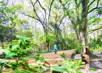 Parque do Piqueri está entre as opções de lazer e bem-estar do Tatuapé
