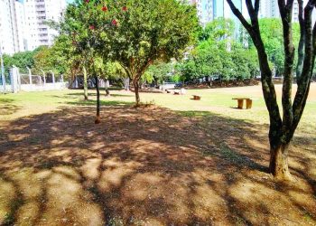 Falhas na eleição do Cades freiam ações de sustentabilidade no Tatuapé