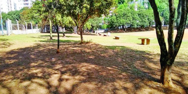 Falhas na eleição do Cades freiam ações de sustentabilidade no Tatuapé