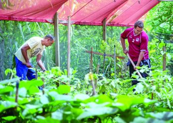 Moradores criticam a troca de área verde por prédios da Cohab