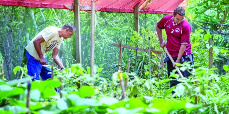 Moradores criticam a troca de área verde por prédios da Cohab