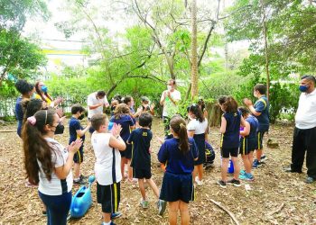 Alunos plantam árvores nativas no Parque do Piqueri