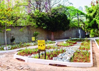 Subprefeitura Penha aposta em ‘jardins de chuva’ para ajudar drenagem