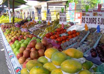 Feira de produtores vai ficar até dezembro no Parque São Jorge