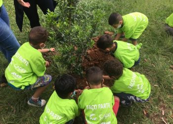 Evento ‘Verde e Amarelo’ do Lar Sírio faz o plantio de mudas no Tatuapé