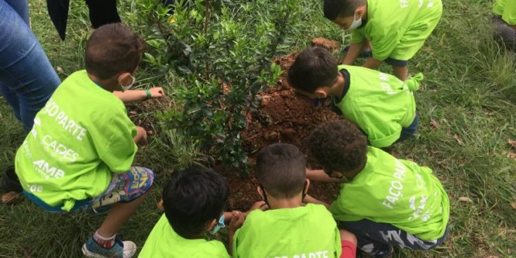 Evento ‘Verde e Amarelo’ do Lar Sírio faz o plantio de mudas no Tatuapé