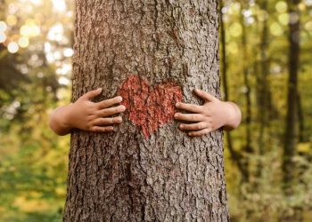 Concurso Cultural : “A importância das árvores para o Planeta”