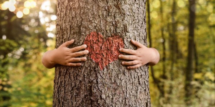 Concurso Cultural : “A importância das árvores para o Planeta”