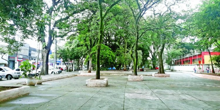 SMADS pouco consegue fazer em relação a donos de barracos no Lgo. do Bom Parto