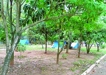 Abandono da Praça Julio Botelho, no Parque São Jorge, favorece instalação de barracas