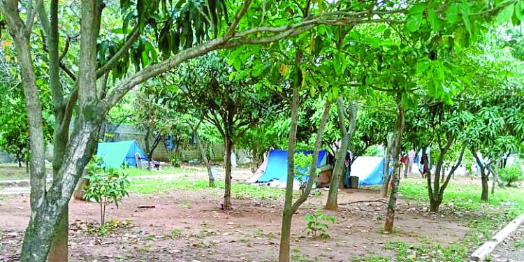Abandono da Praça Julio Botelho, no Parque São Jorge, favorece instalação de barracas