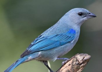 Parque Natural abre ao público com várias atividades e trilhas