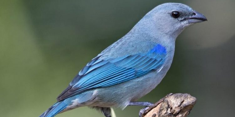 Parque Natural abre ao público com várias atividades e trilhas