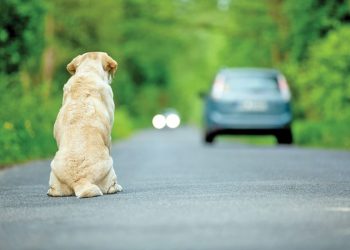 Cuidados com crianças devem ser redobrados nos prédios