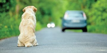 Cuidados com crianças devem ser redobrados nos prédios