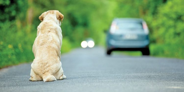 Cuidados com crianças devem ser redobrados nos prédios